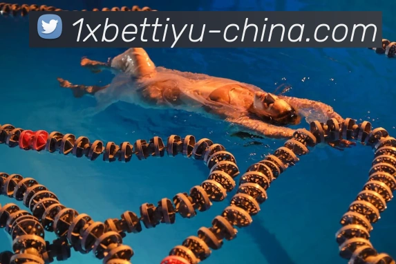 App功能展示图