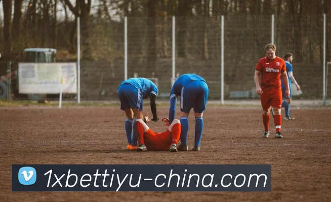 App Interface Preview